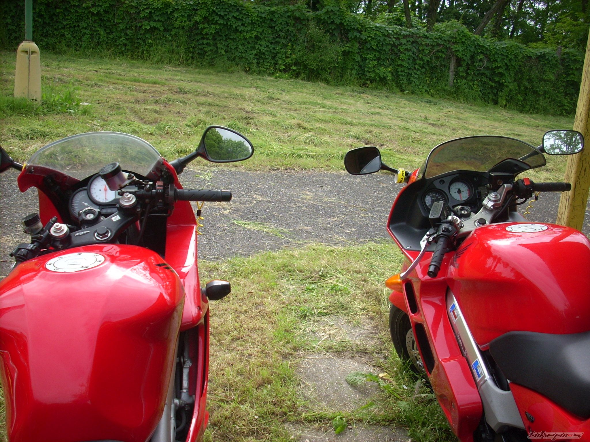 Photo 2442862