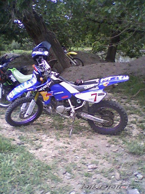 Photo 2442968