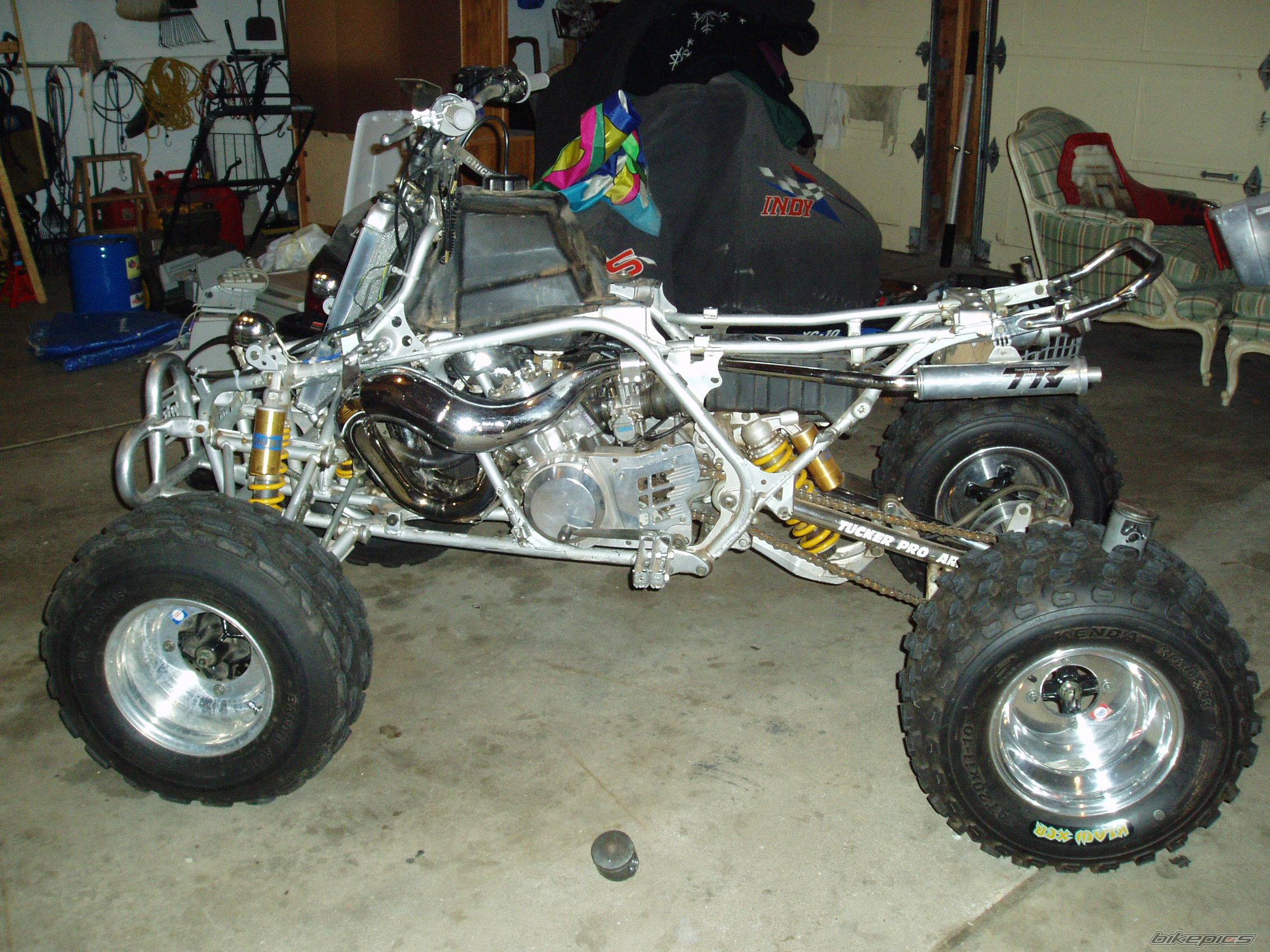 Photo 244312