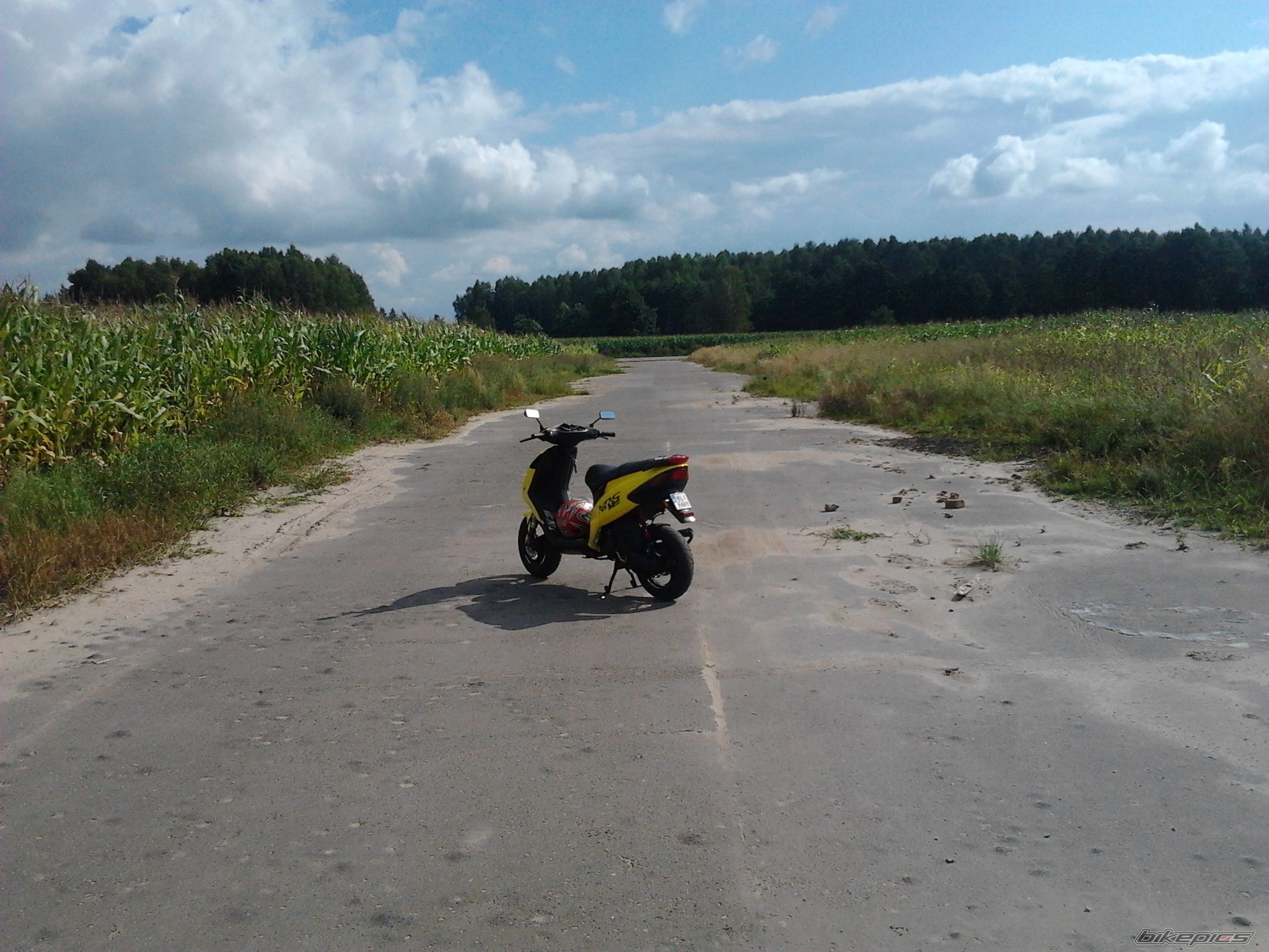Photo 2443135