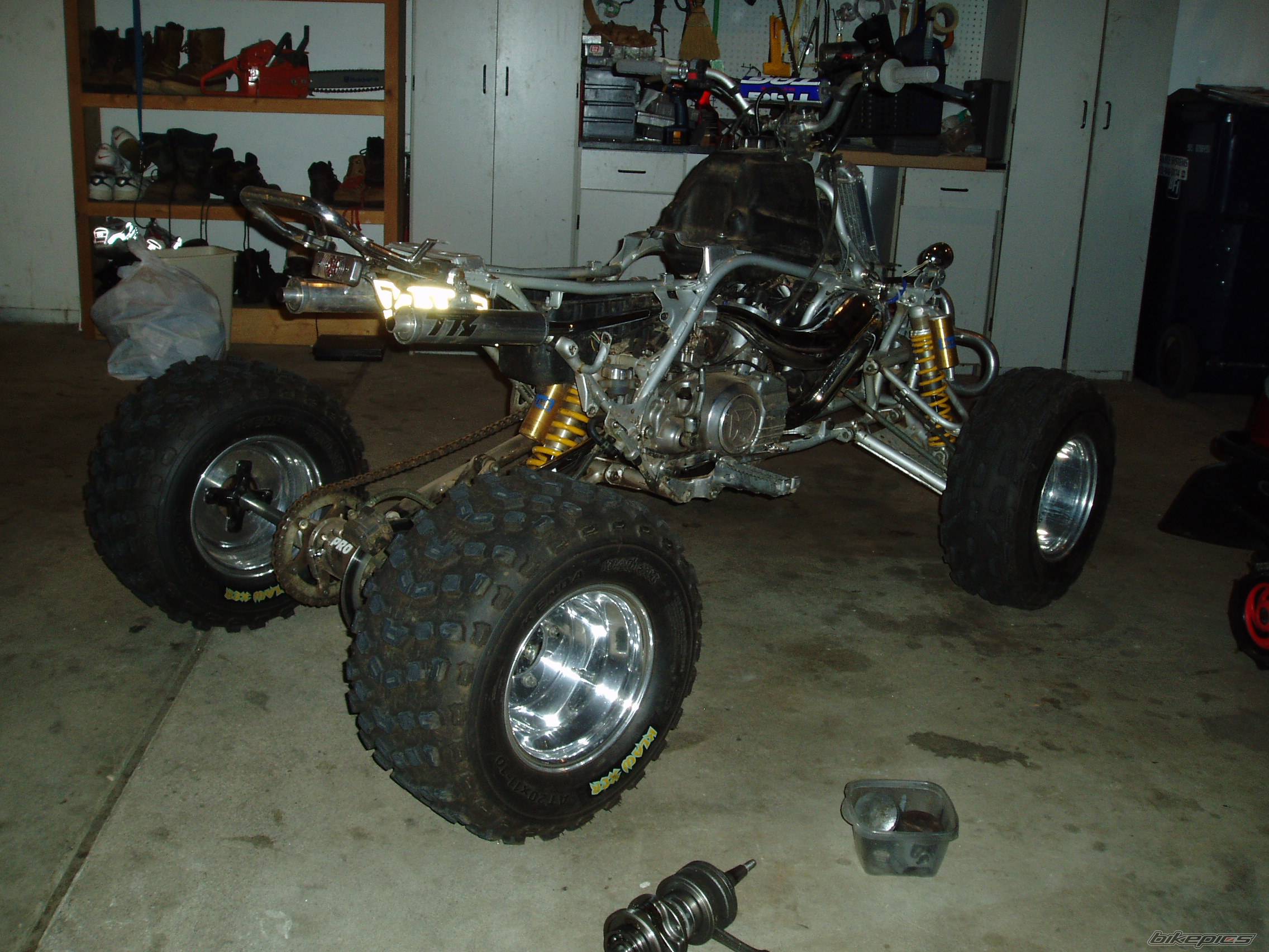 Photo 244315