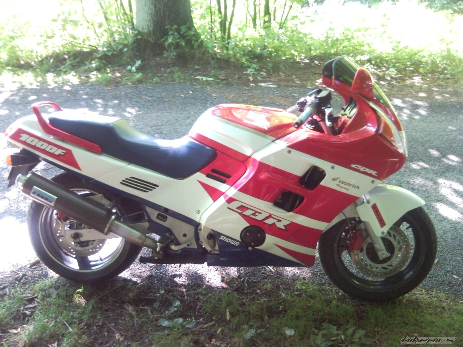 Photo 2443164