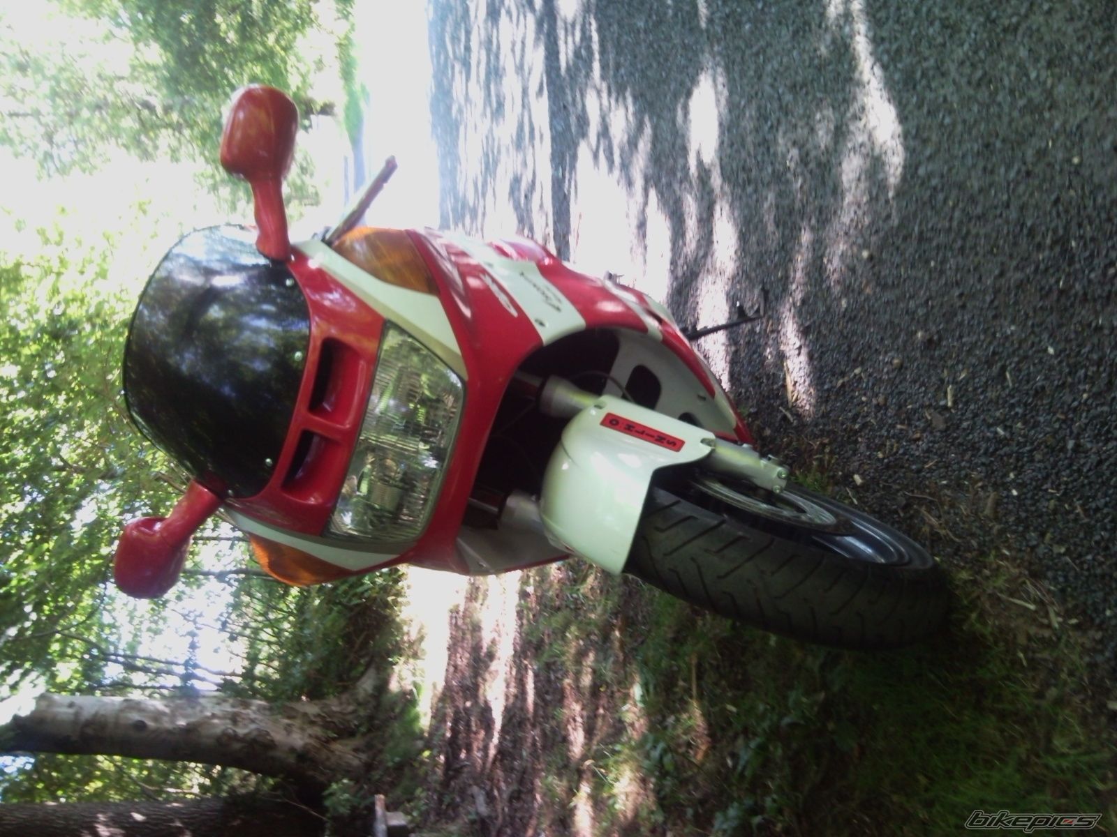 Photo 2443168