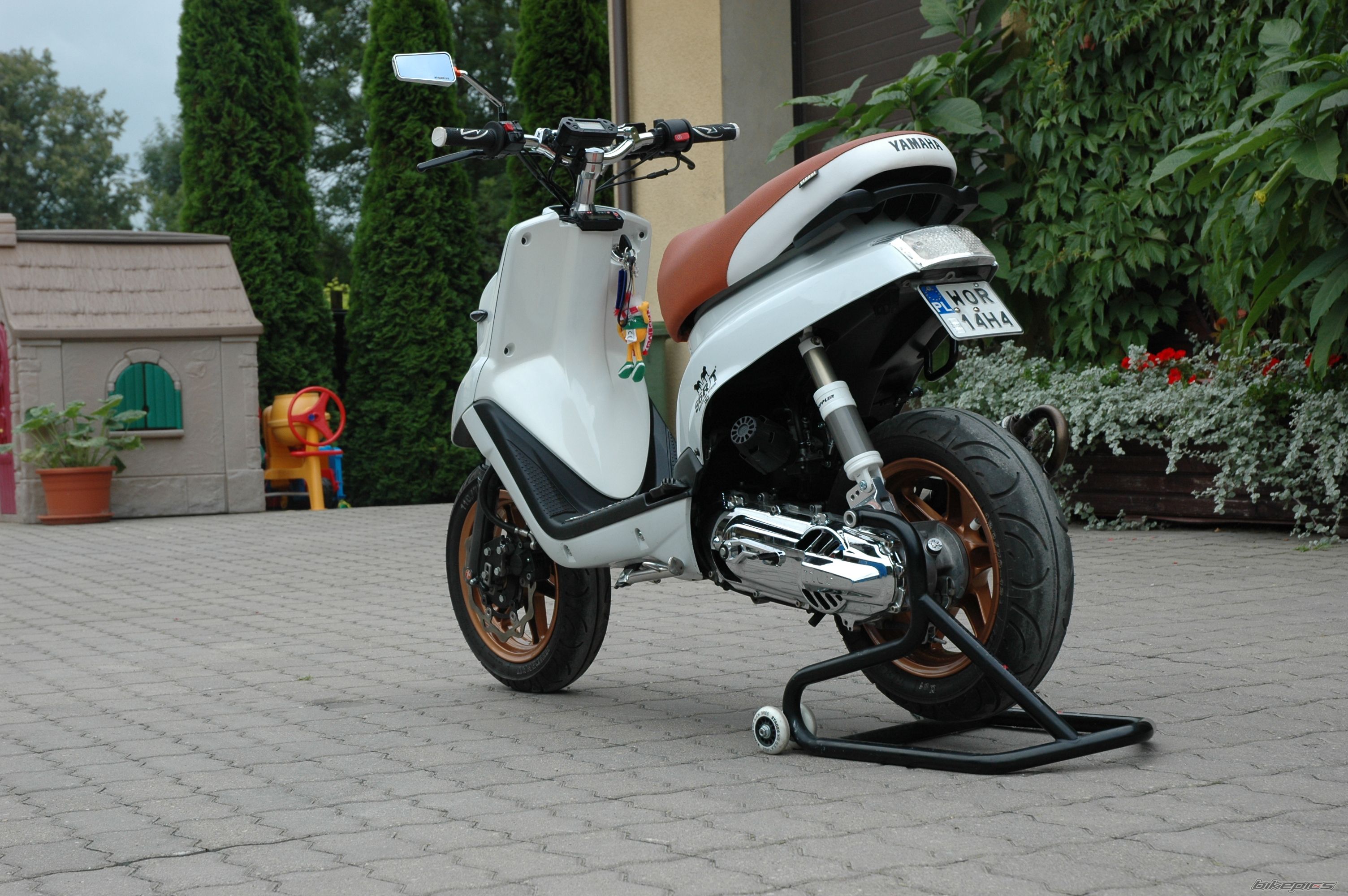 Photo 2443208