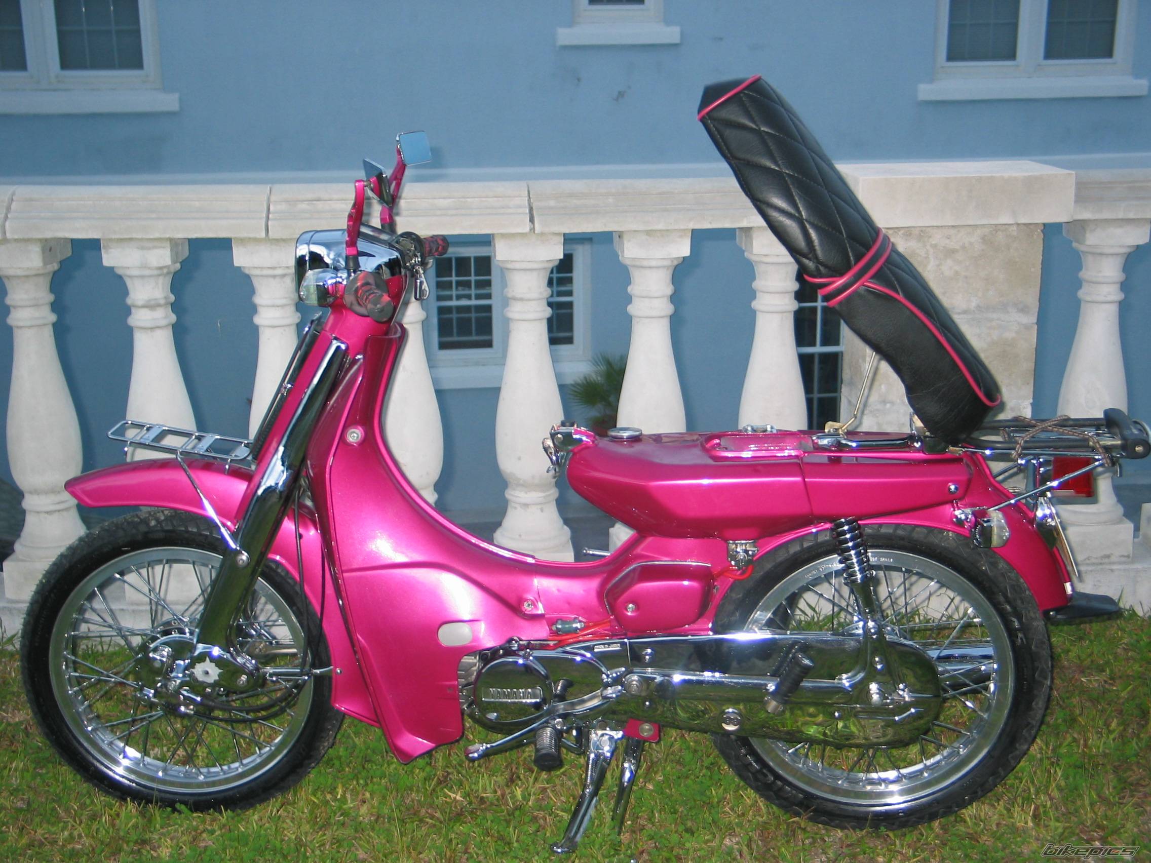 Photo 244321
