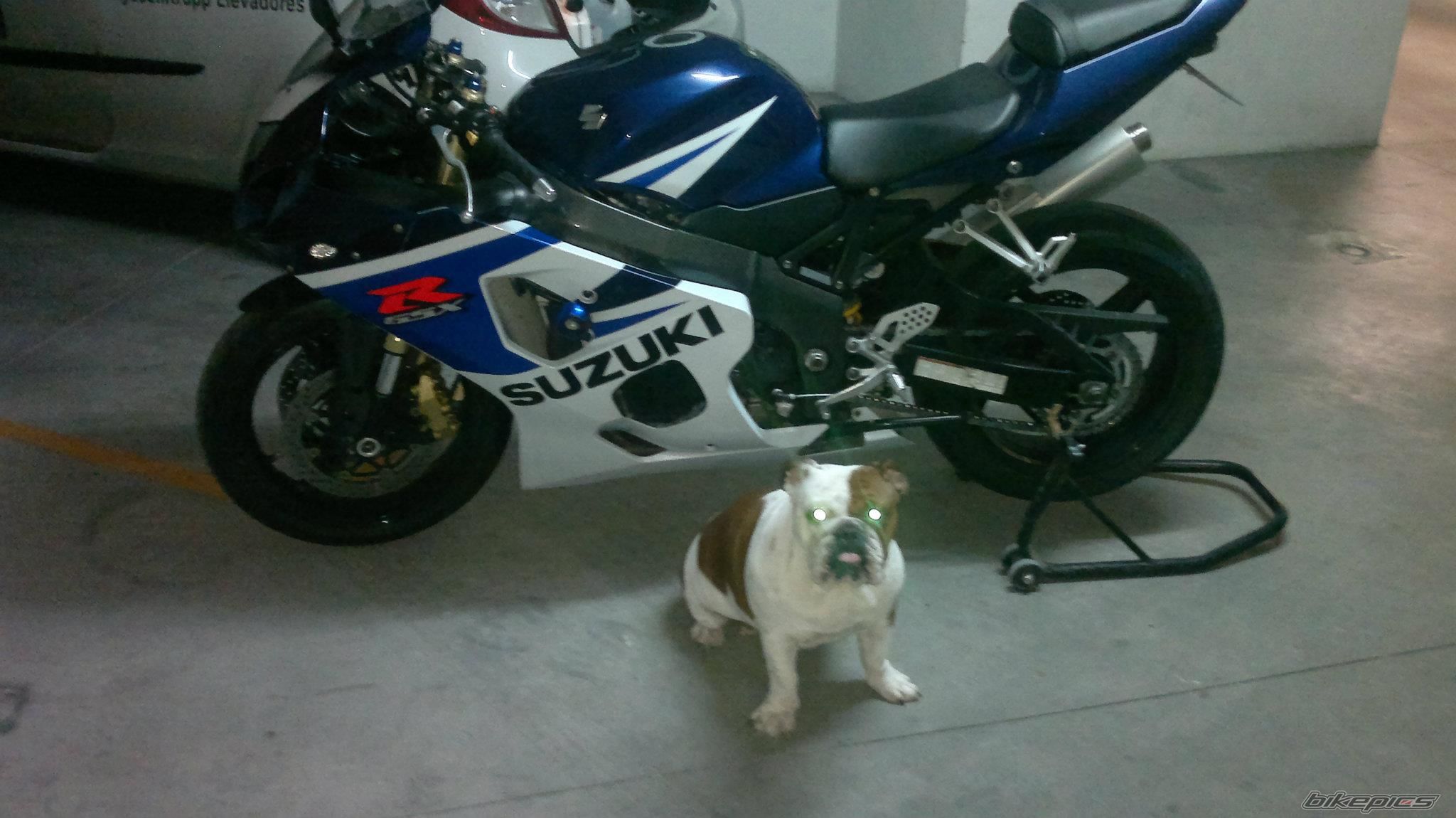 Photo 2443224