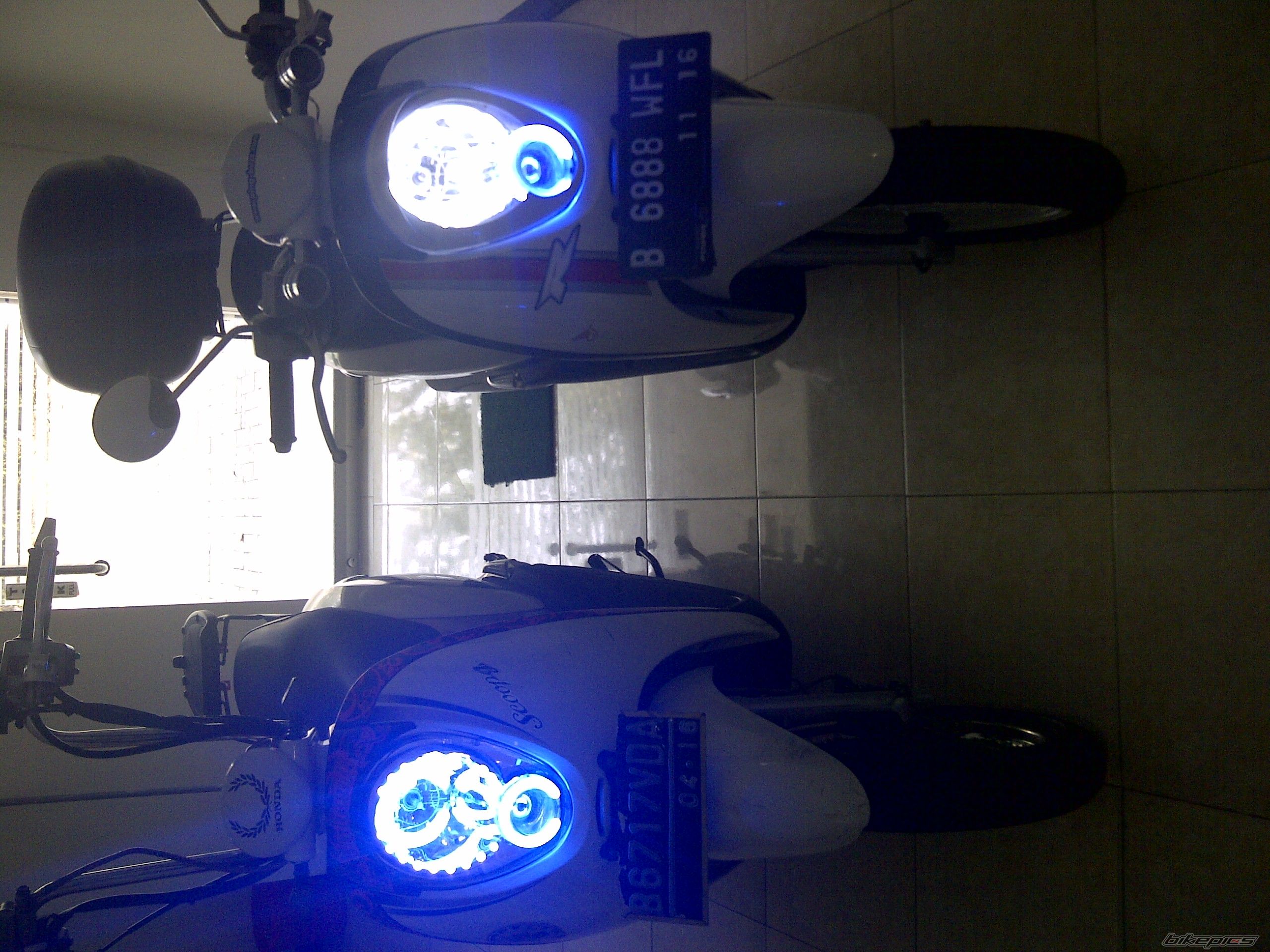 Photo 2443289