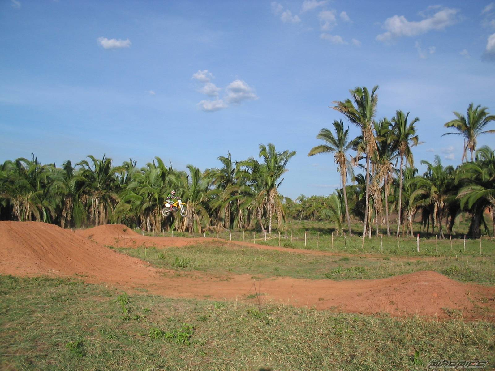 Photo 244332