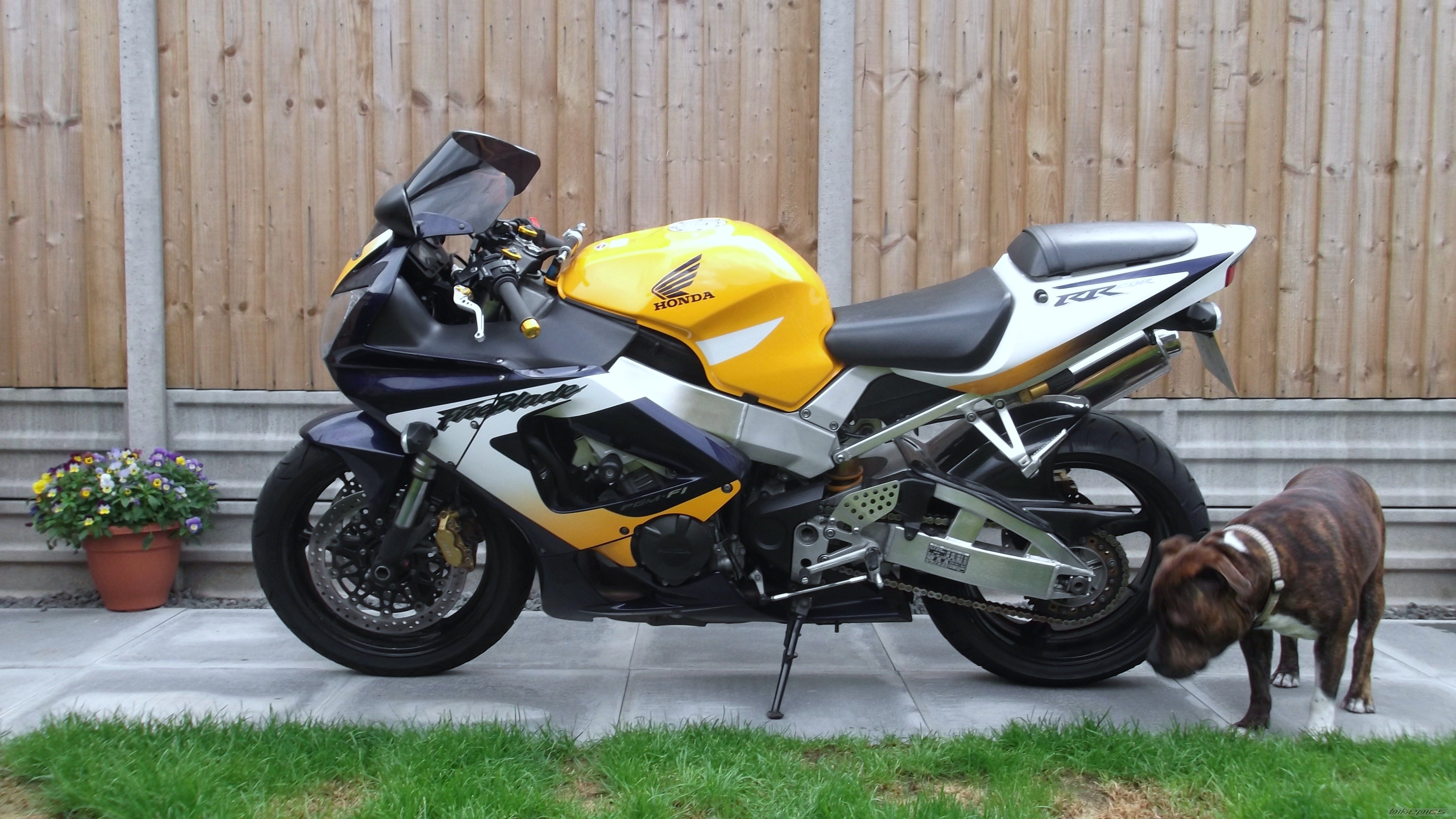 Photo 2443325