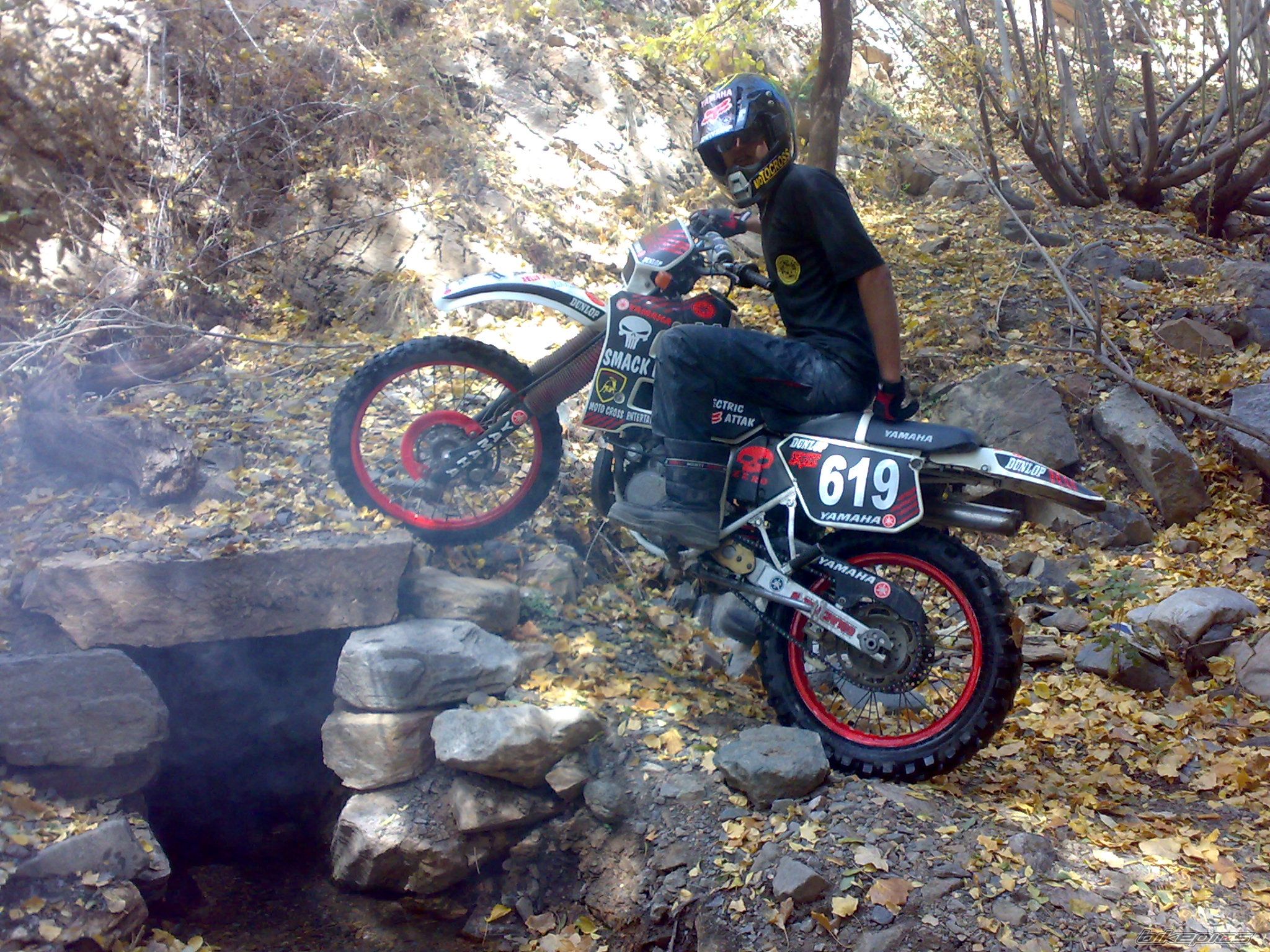 Photo 2443328