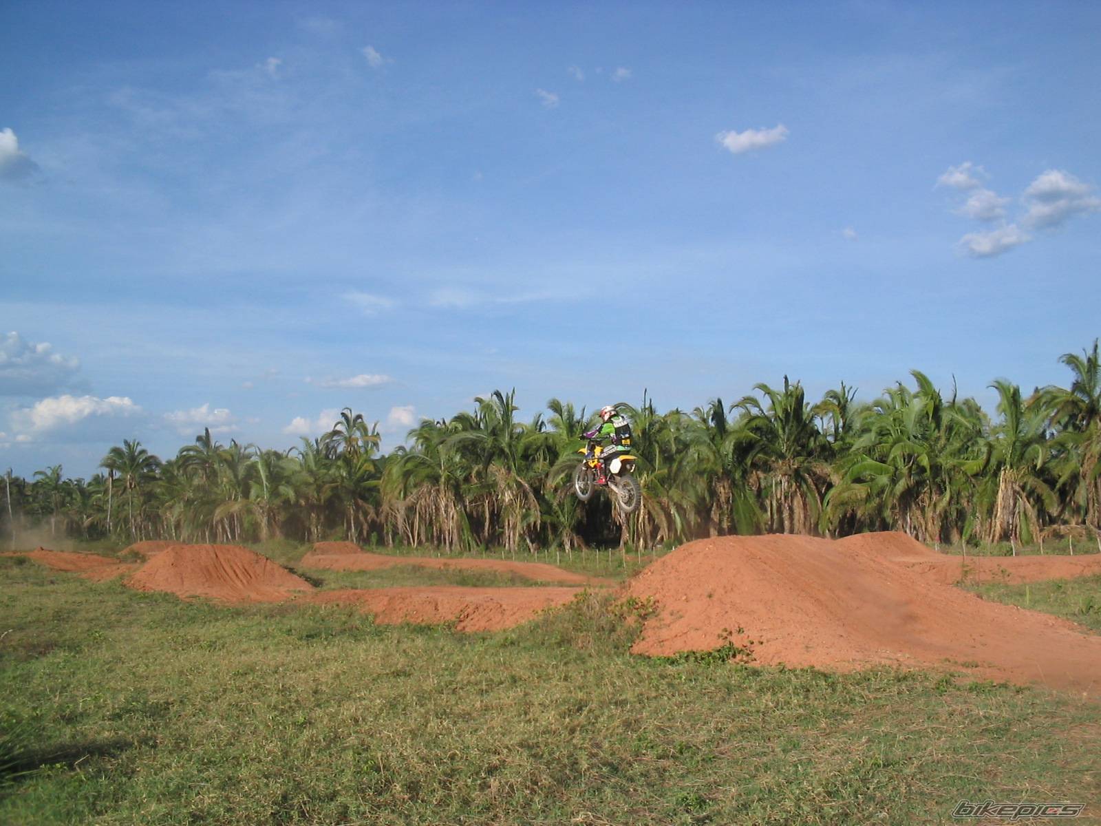 Photo 244339