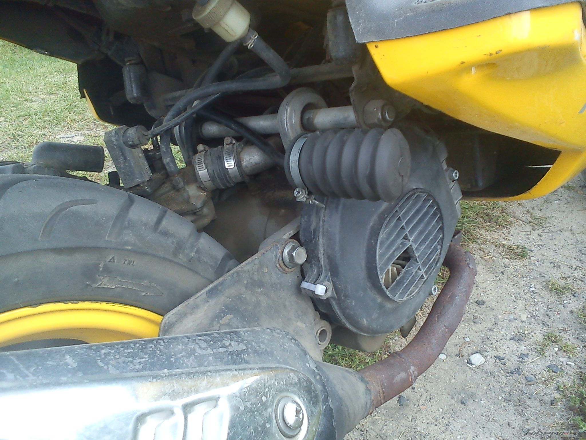 Photo 2443485