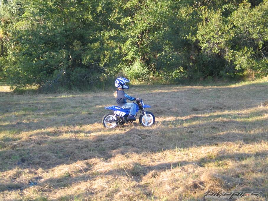 Photo 244351