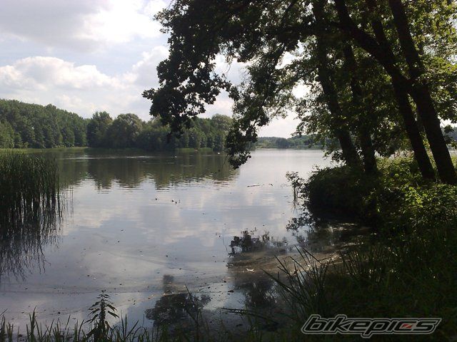 Photo 2443580