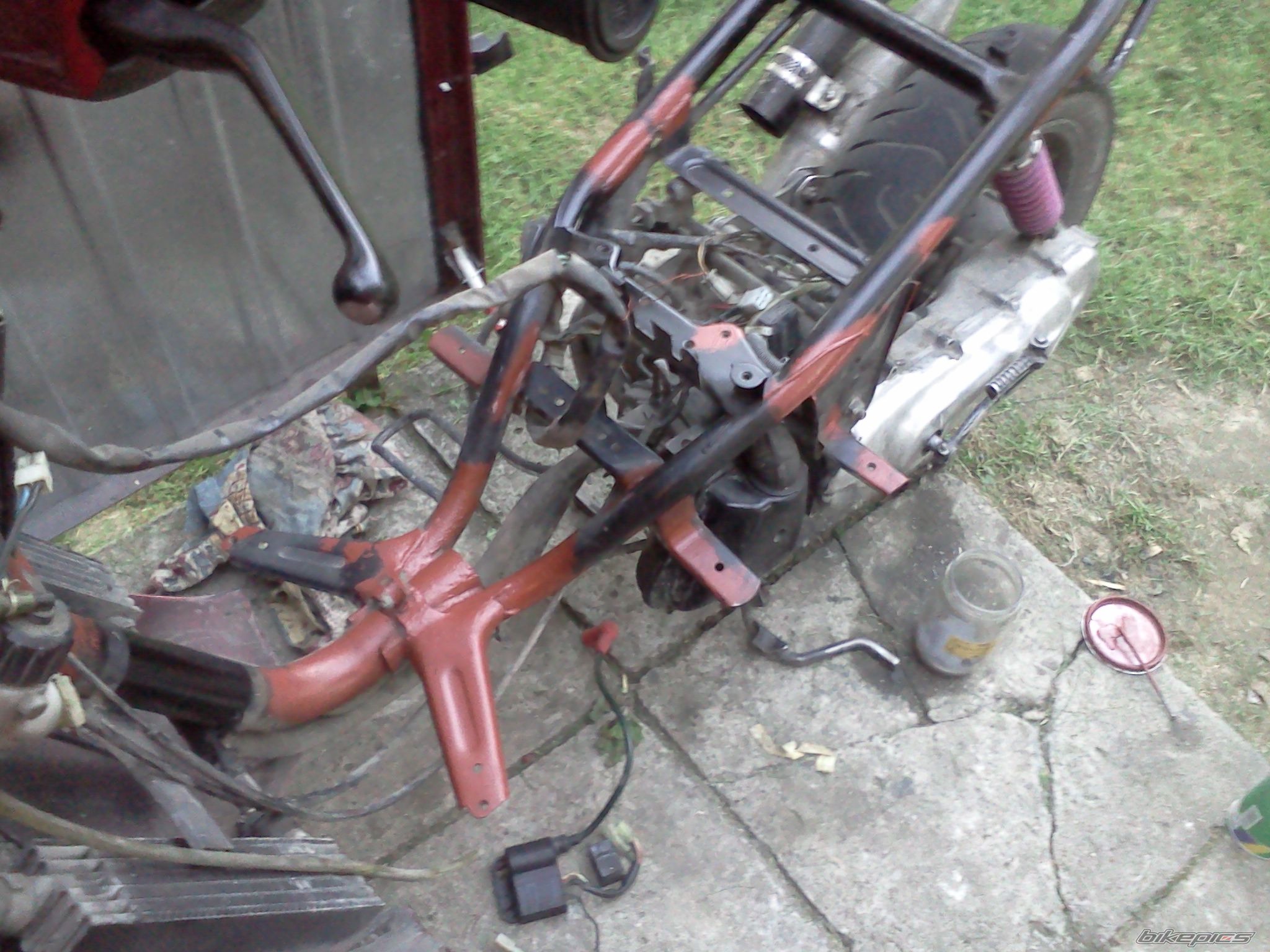 Photo 2443685