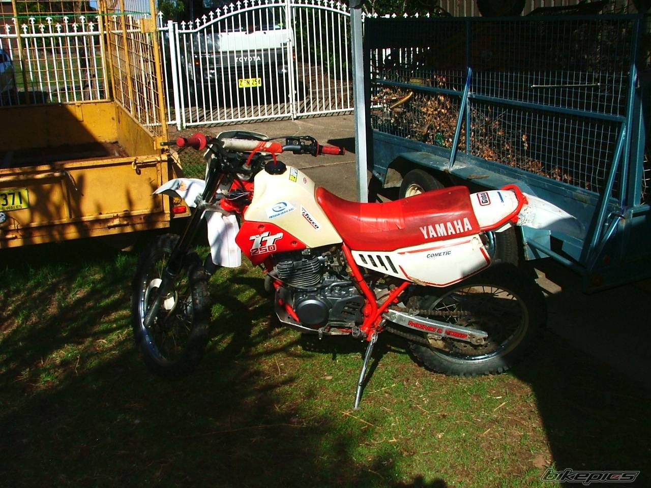 Photo 244375
