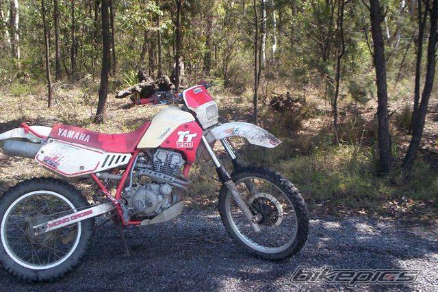 Bike Photo 244380