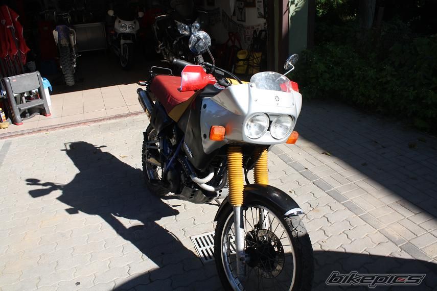 Photo 2443854
