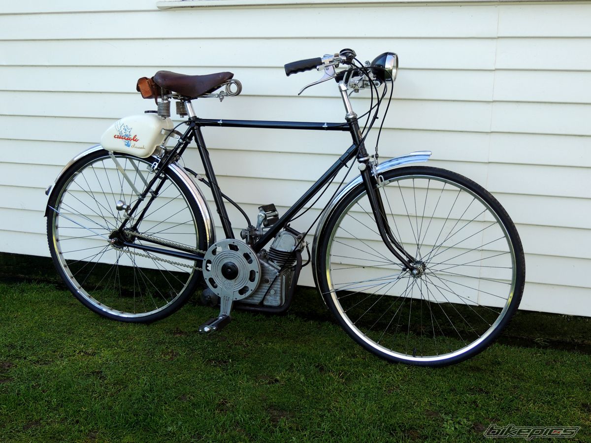 Photo 2443858