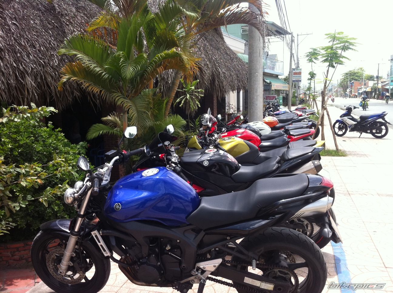 Photo 2443914
