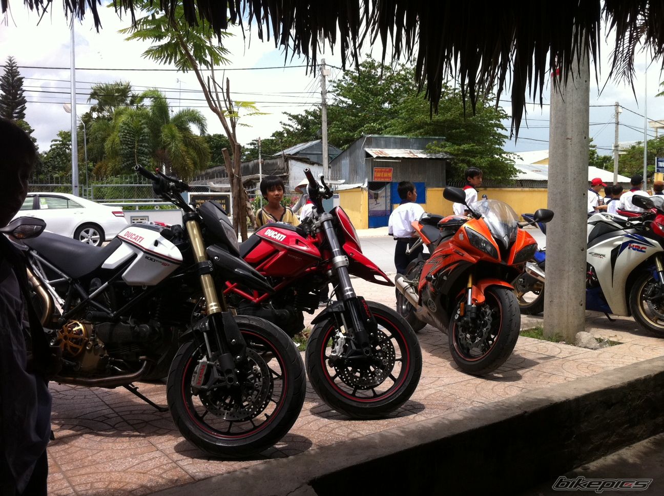 Photo 2443920