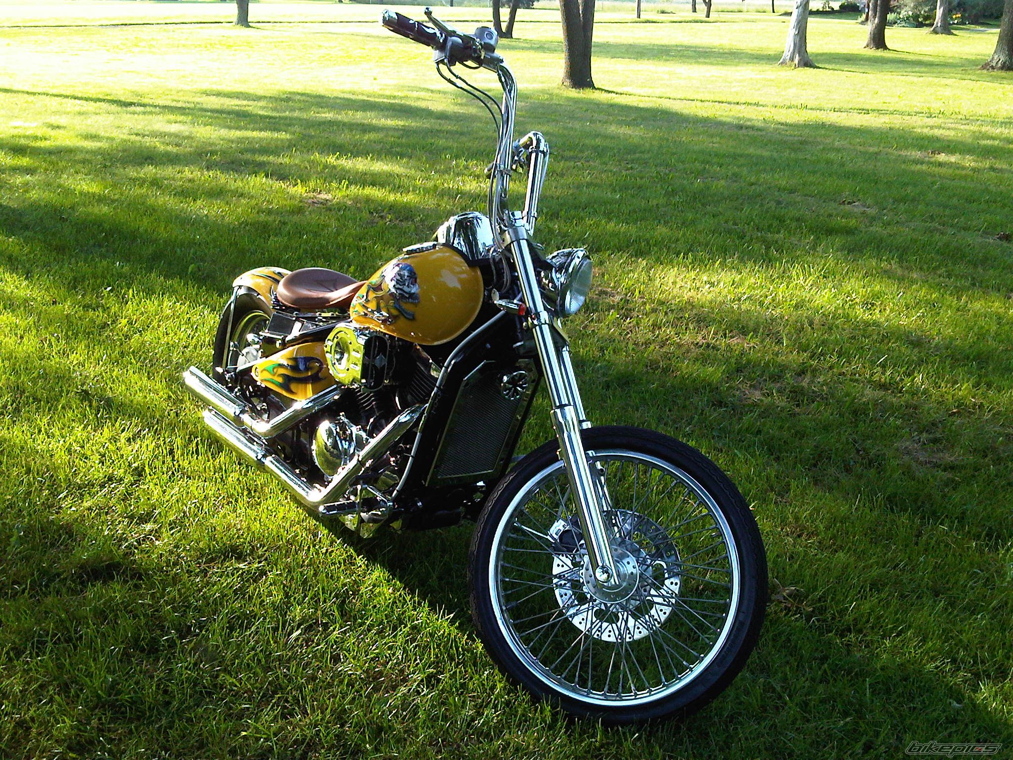 Photo 2443954