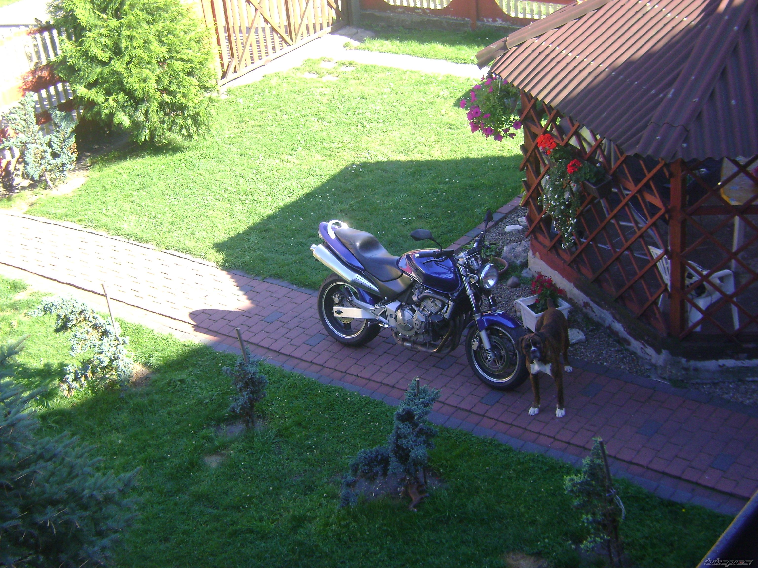 Bike Photo 2444001
