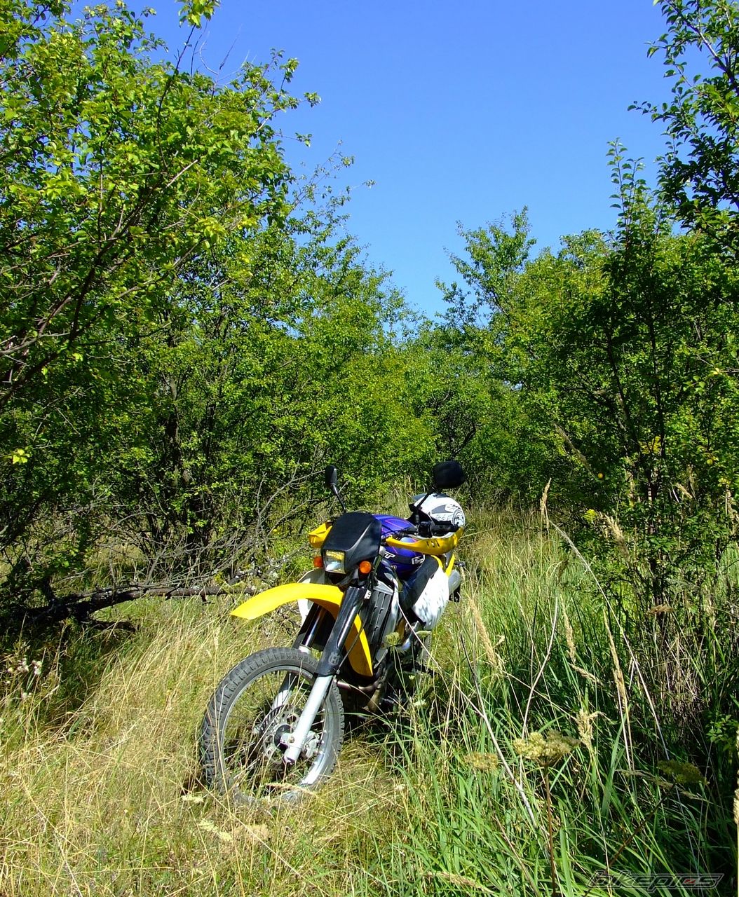 Photo 2444022
