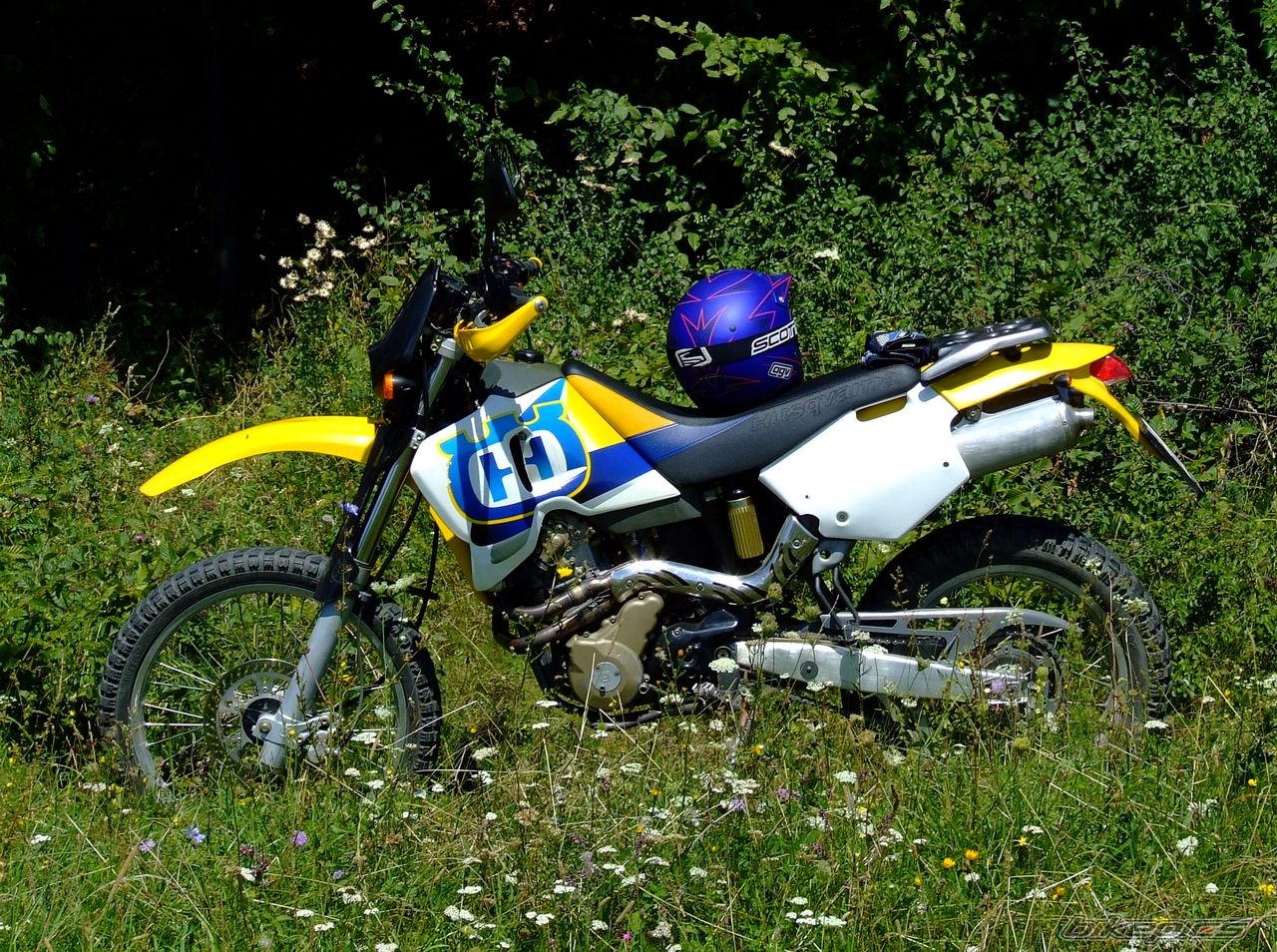 Photo 2444023