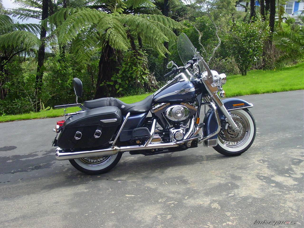 Bike Photo 244409