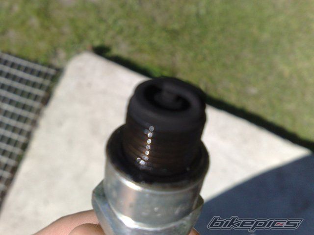 Photo 2444109