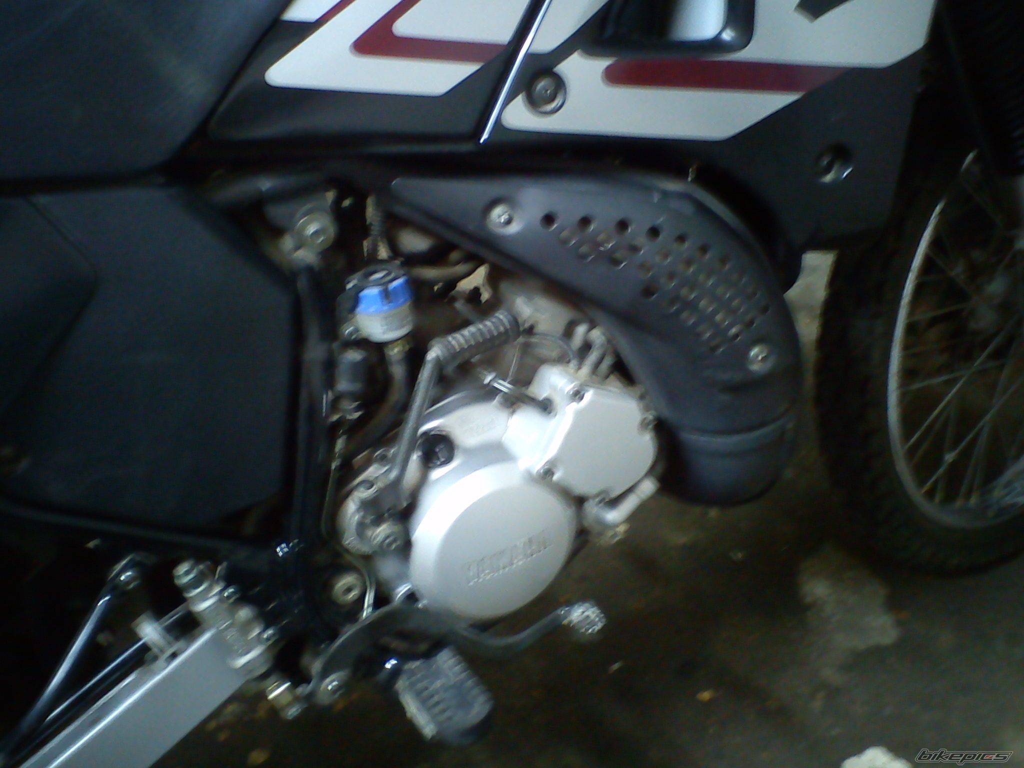 Photo 2444178