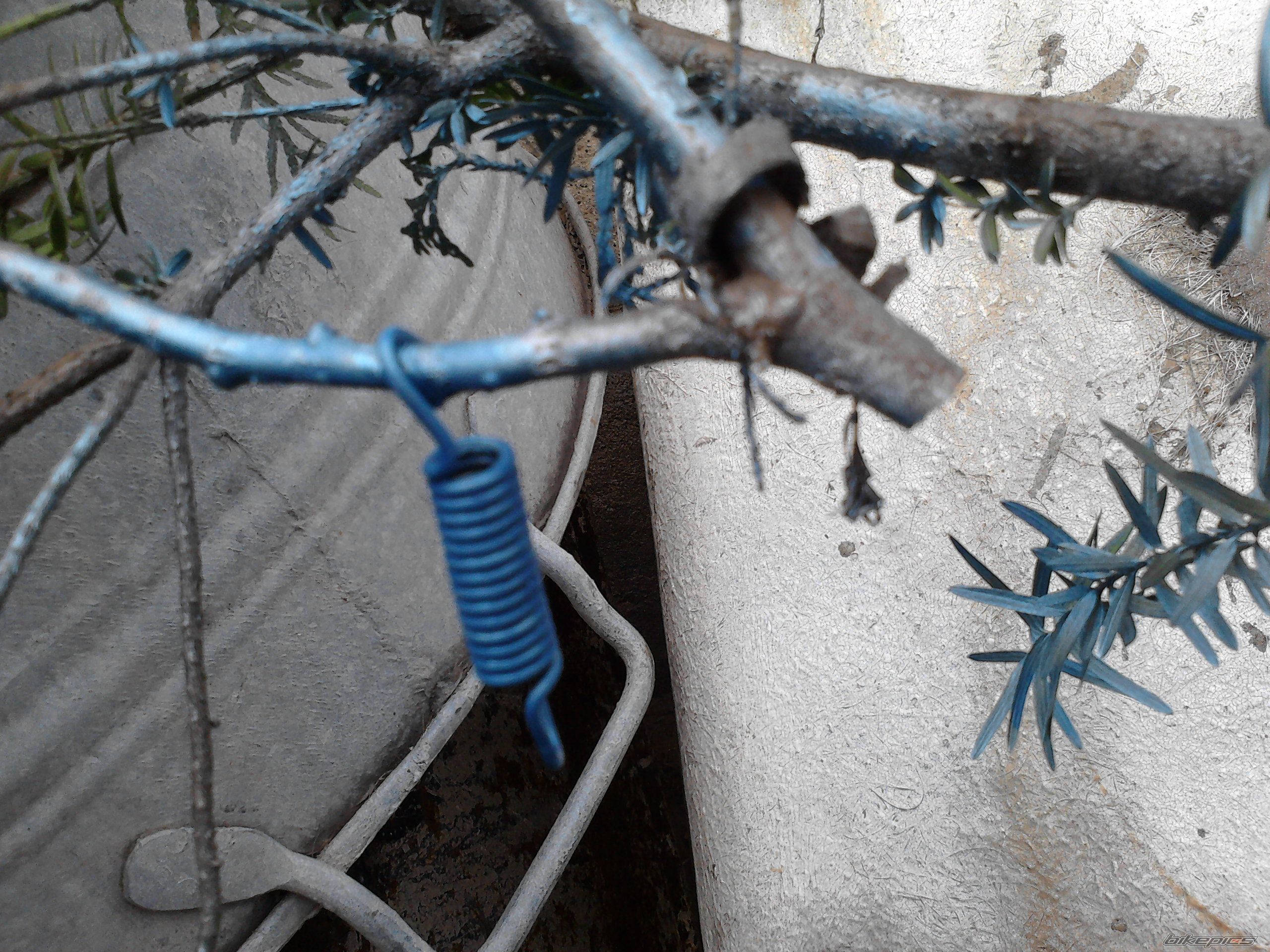 Photo 2444269
