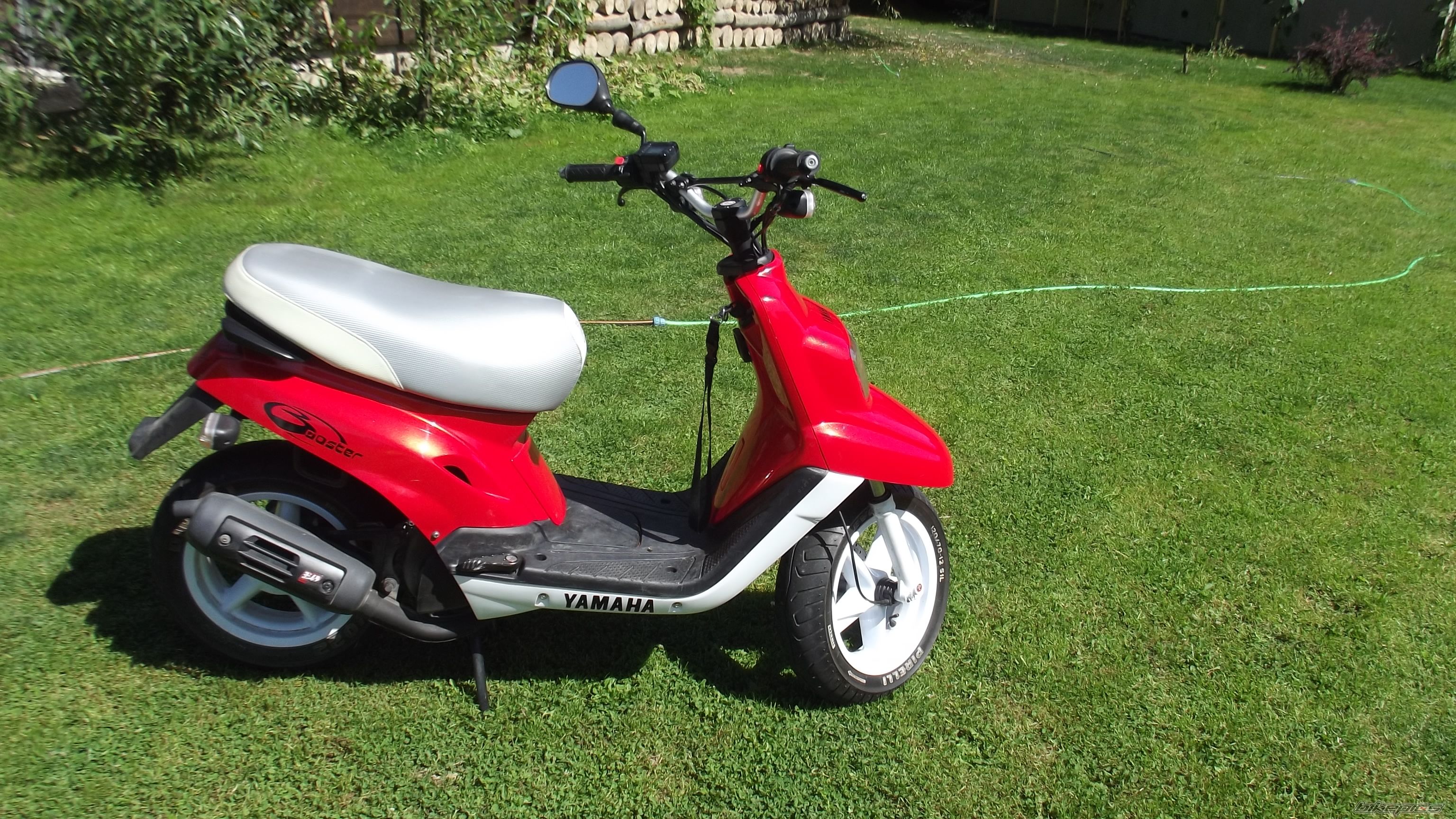 Photo 2444297