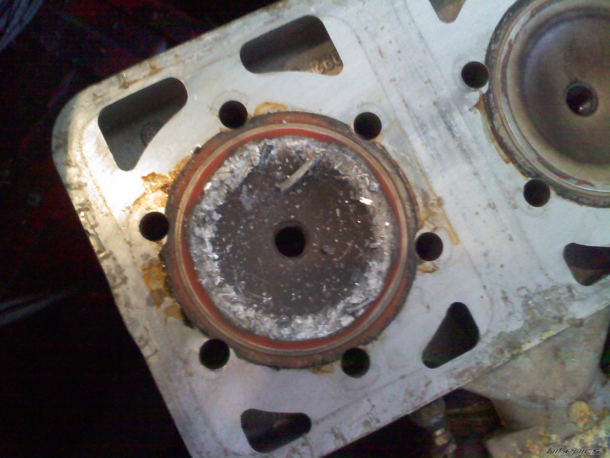 Photo 2444454