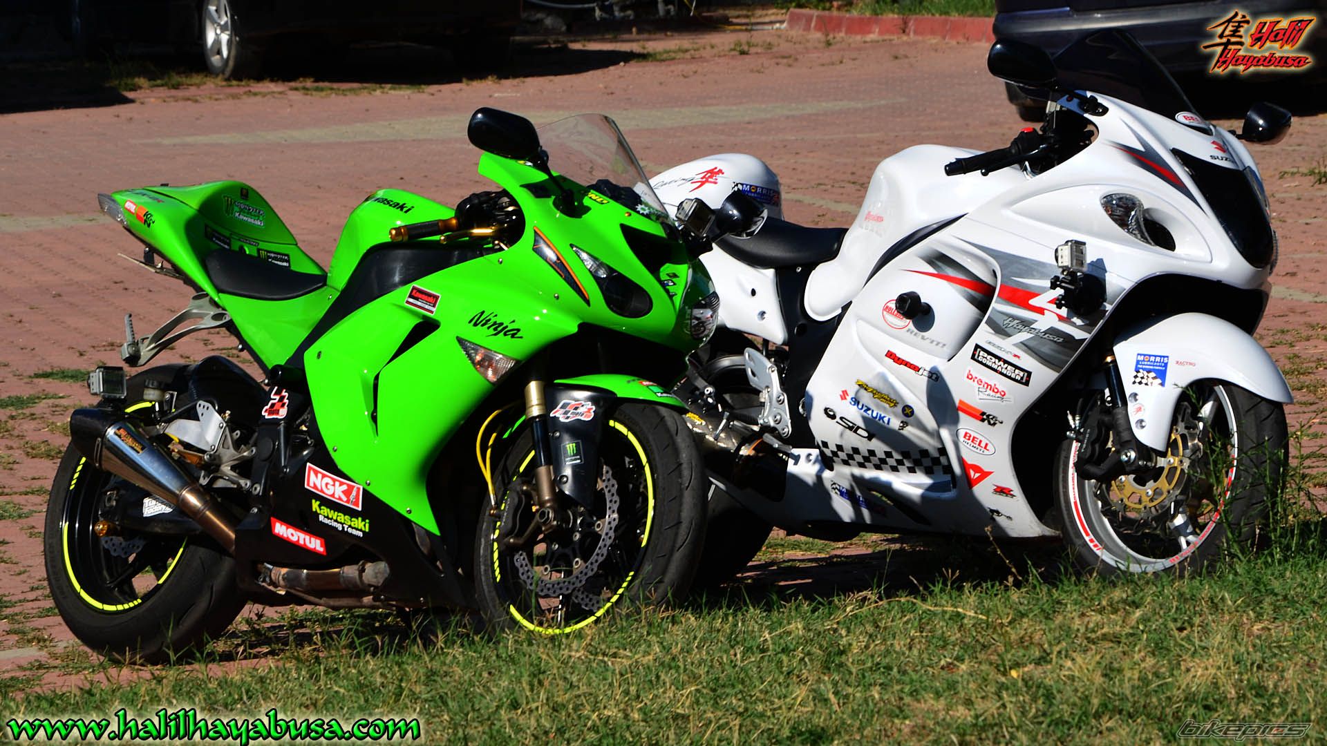 Photo 2444589