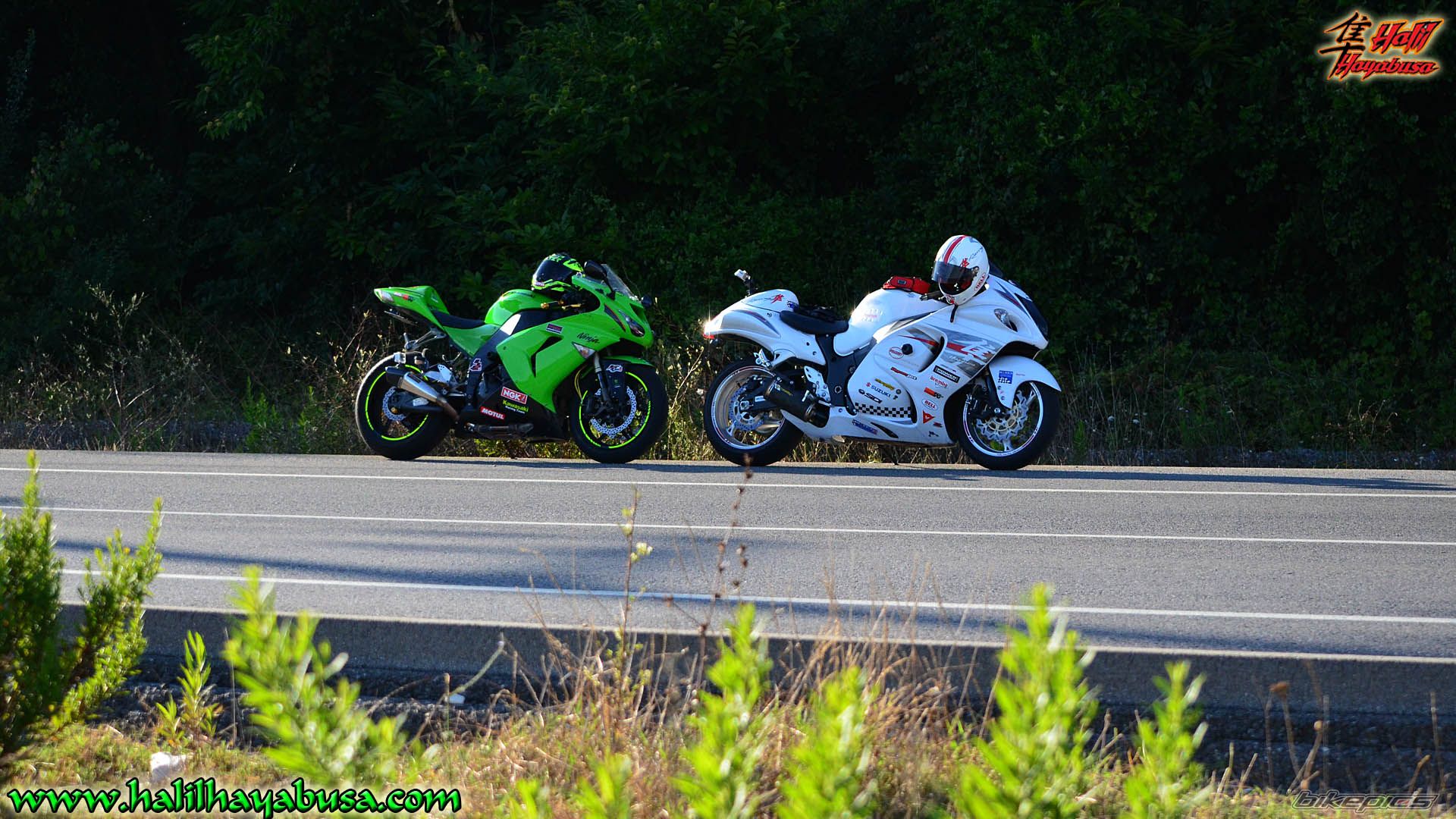 Photo 2444598