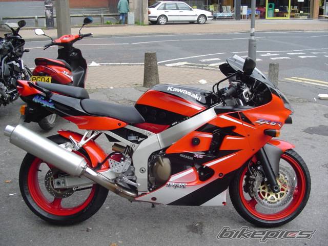 Photo 244462