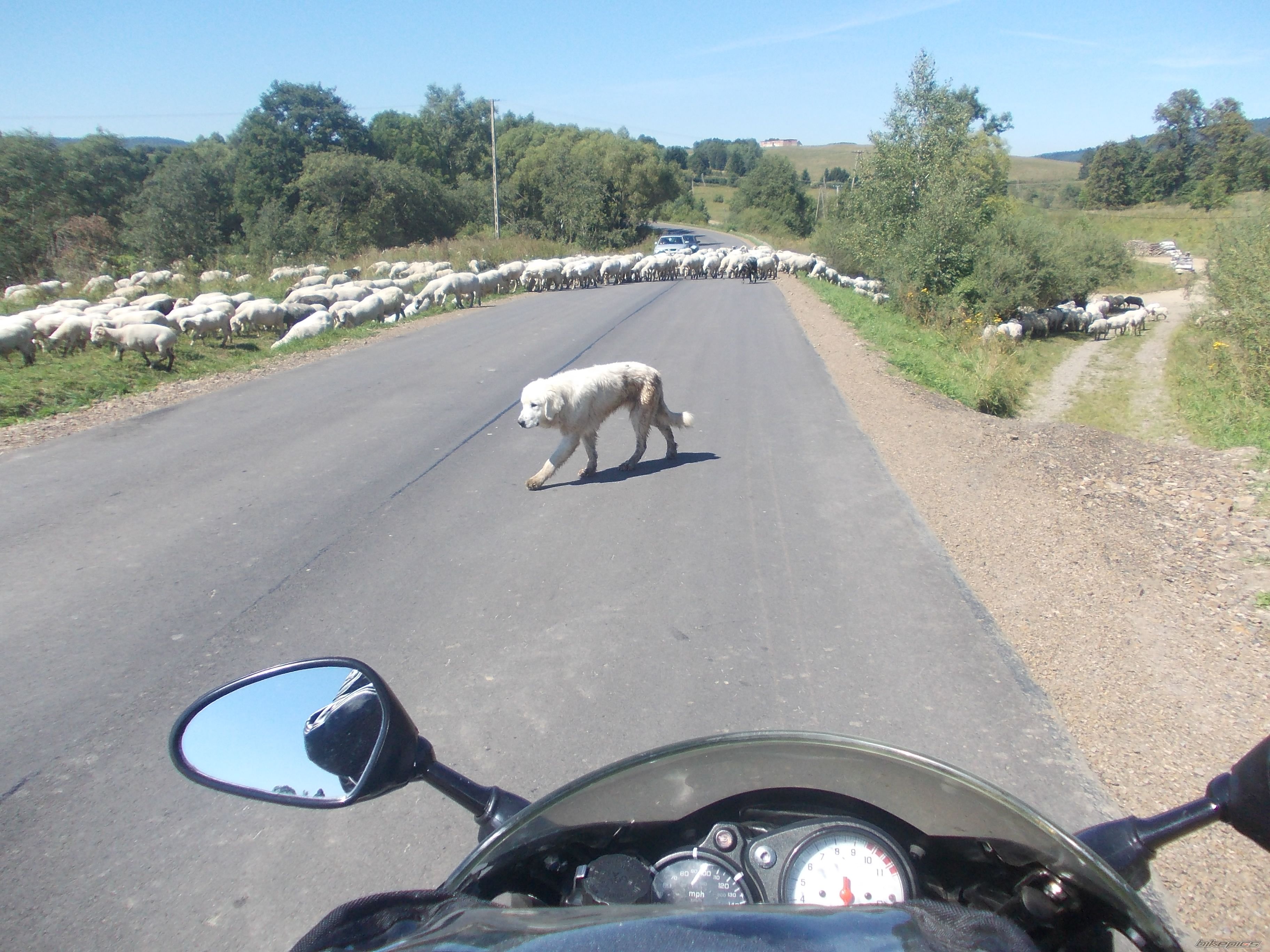 Photo 2444621