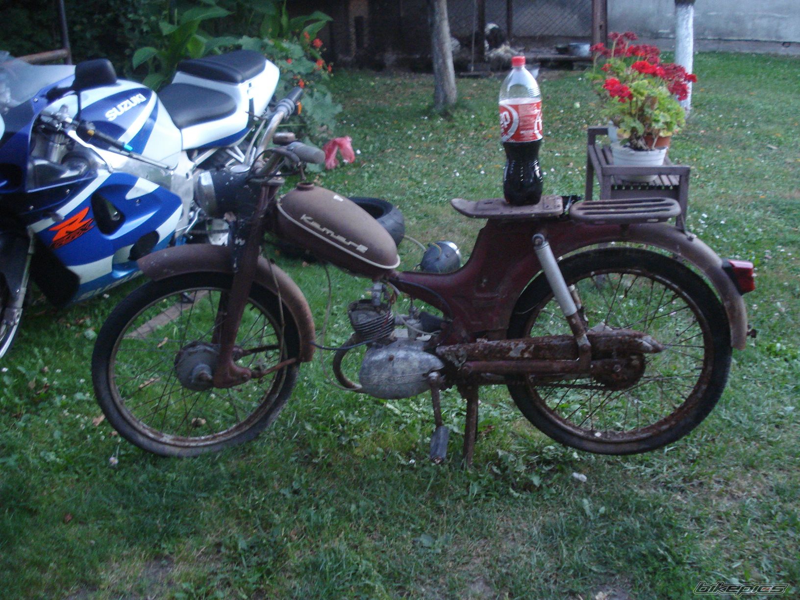 Photo 2444678