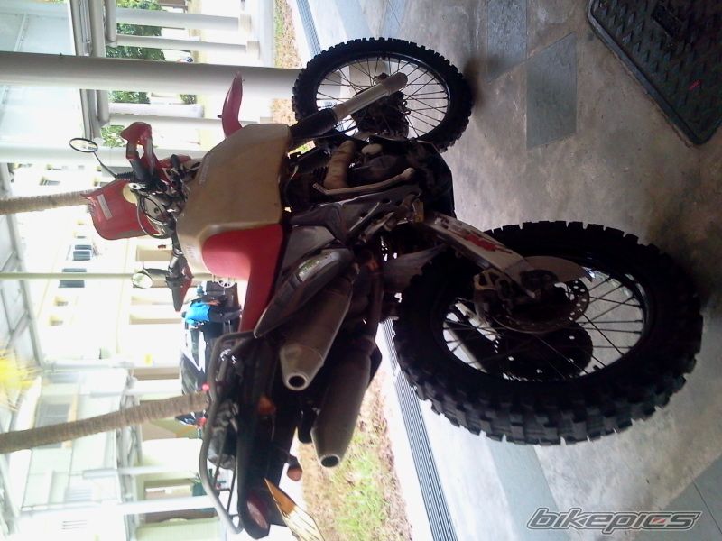 Photo 2444712