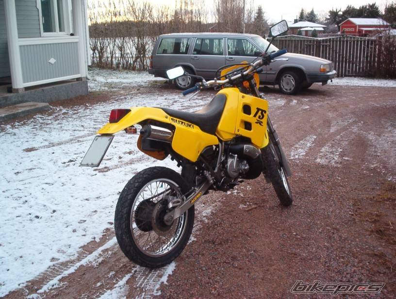 Photo 244473