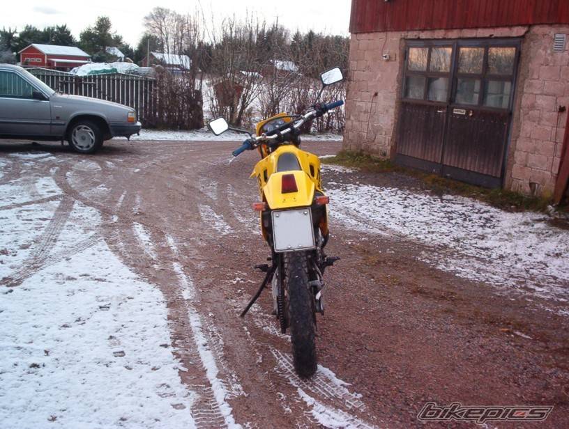Photo 244474