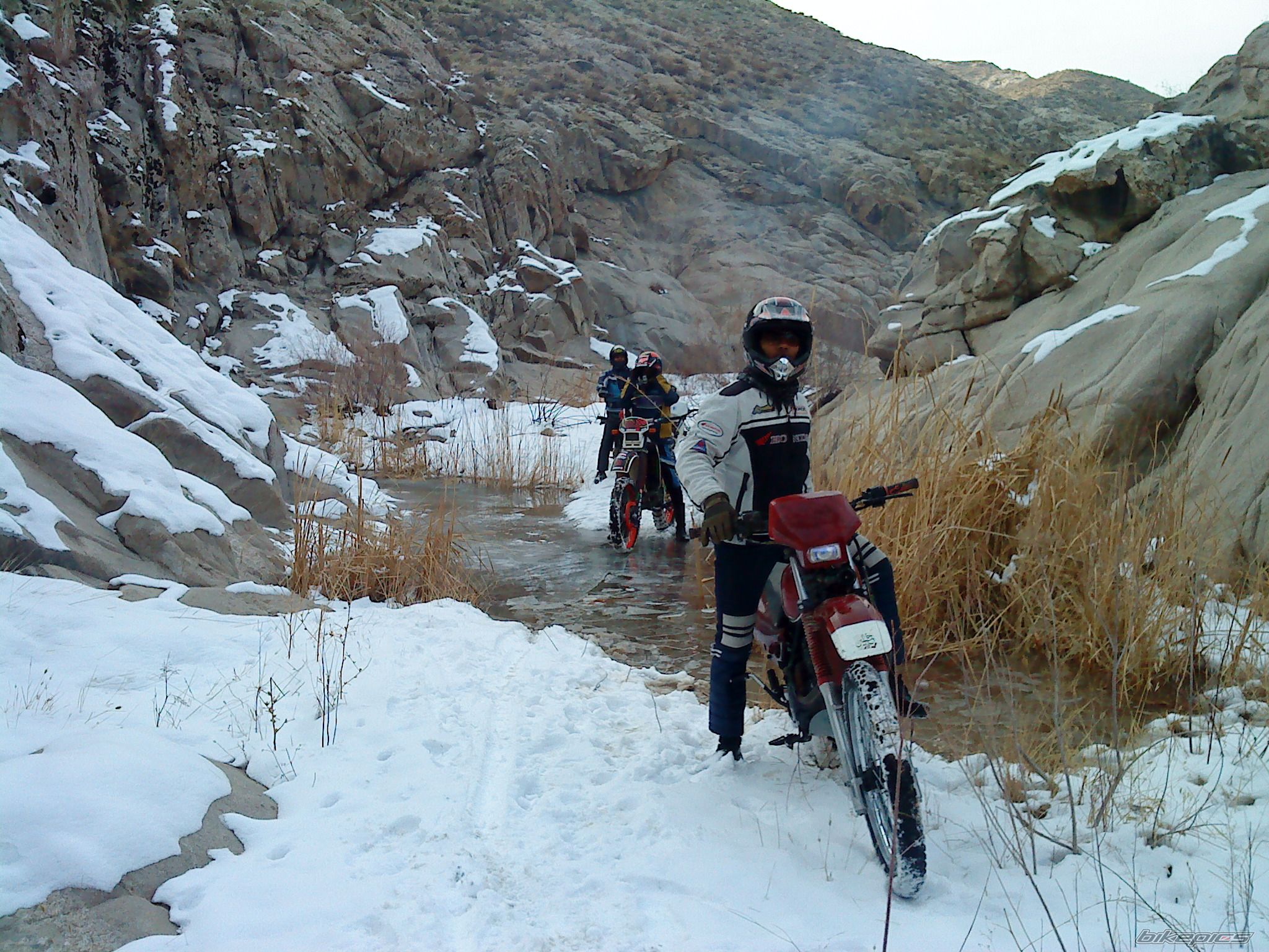Photo 2444741