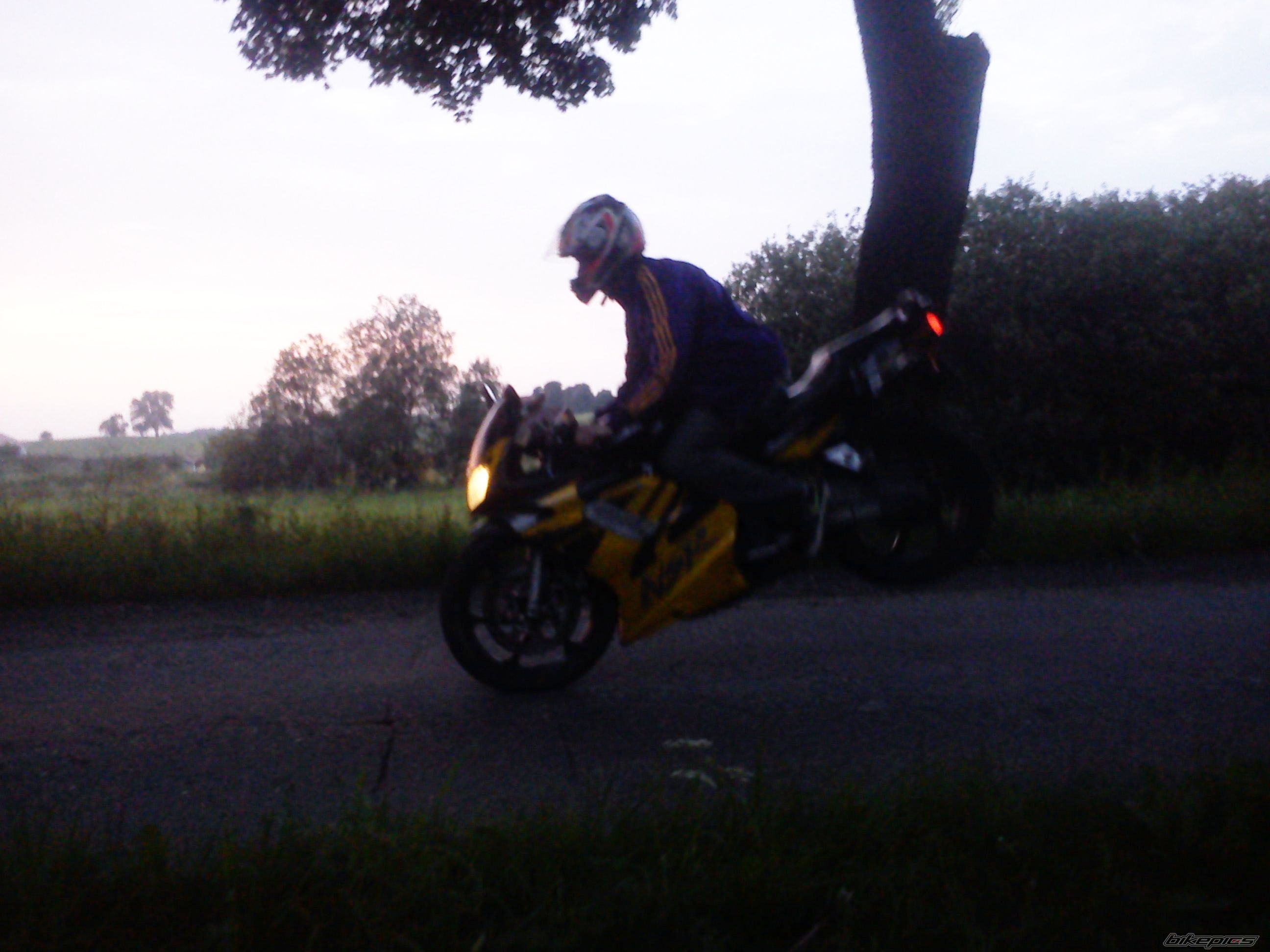 Photo 2444747