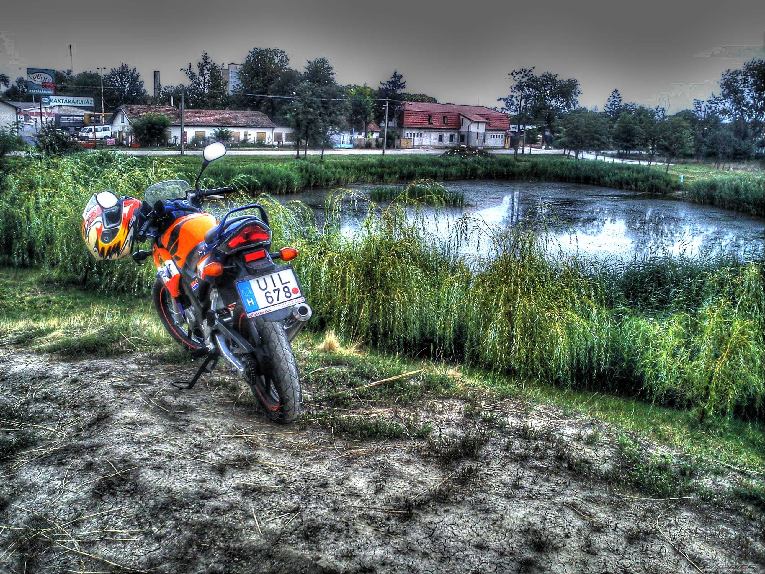 Photo 2444798