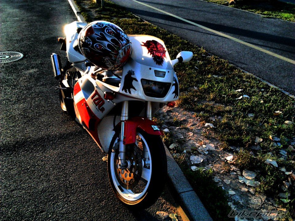 Photo 2444829
