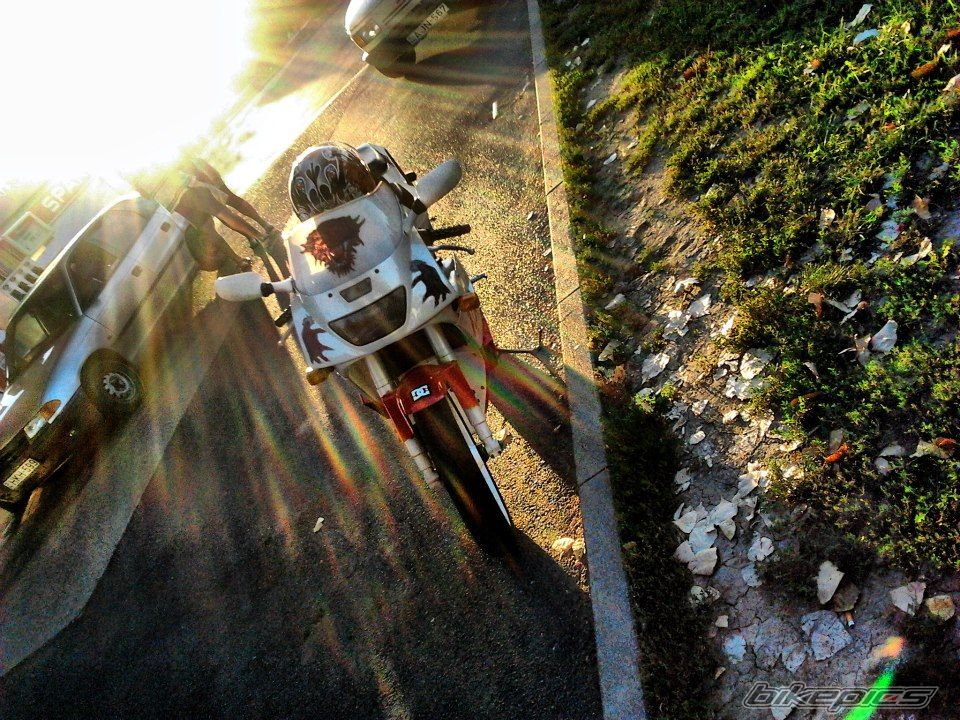Photo 2444830