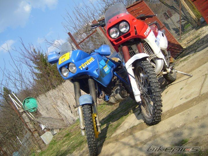 Photo 2444832