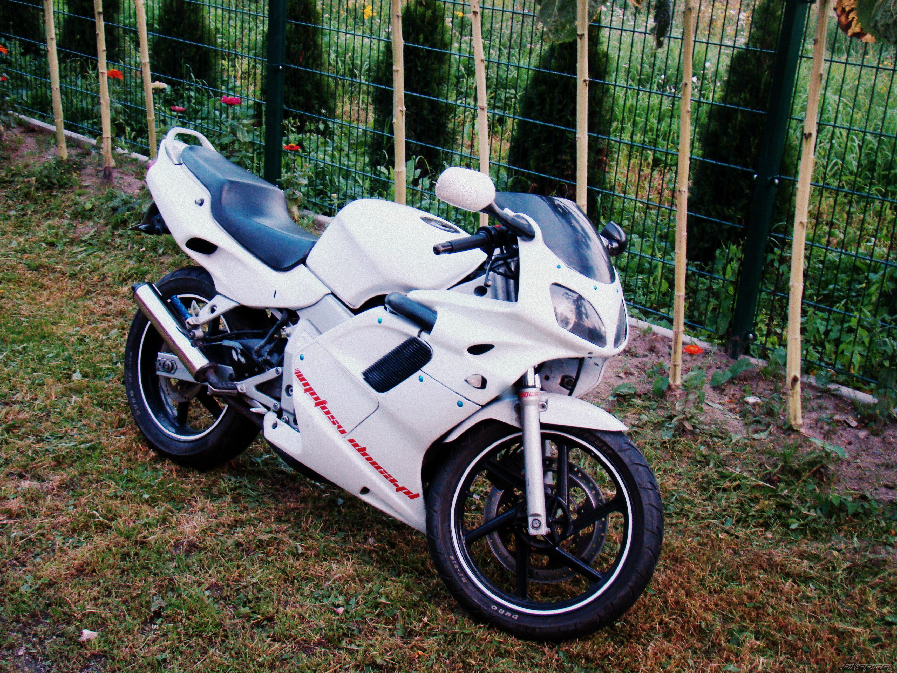 Photo 2444836